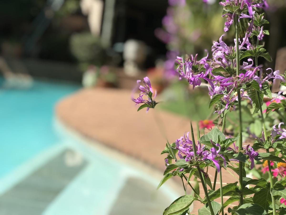 Claires of Sandton Luxury Guest House Johannesbourg Extérieur photo