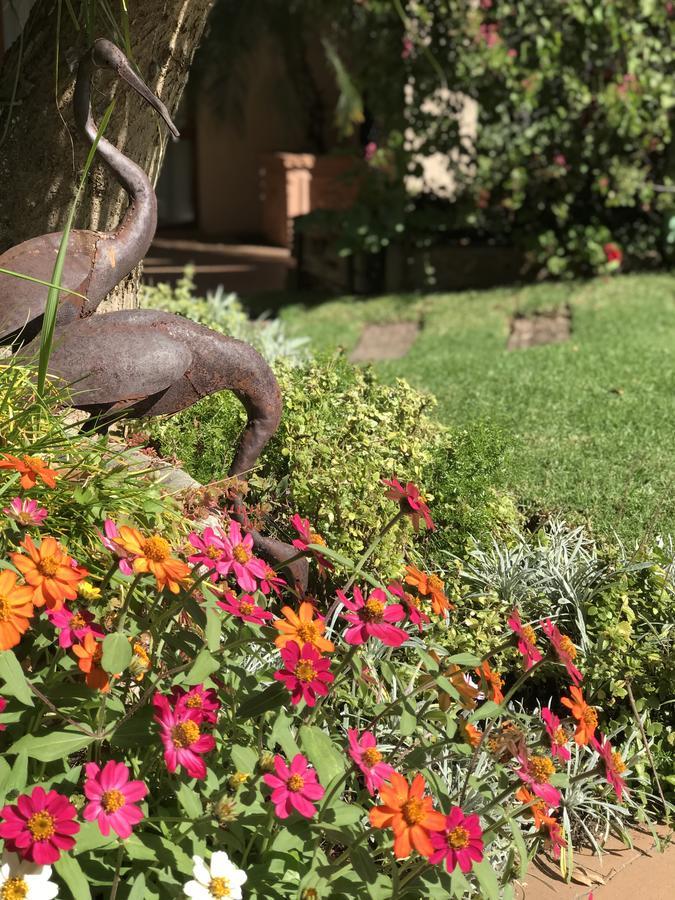 Claires of Sandton Luxury Guest House Johannesbourg Extérieur photo